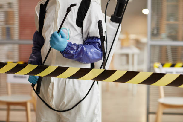 Professional Hoarding Cleanup technician working in North Palm Springs, CA